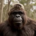 Yowie