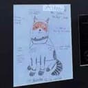 catteroid