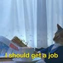Jobcat