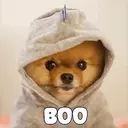 BOO