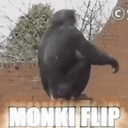 MF