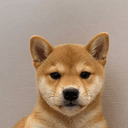 WIFOUT