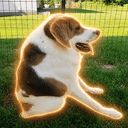 Cooper
