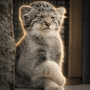 サンくん