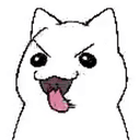 blehcat