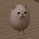 EGGCAT