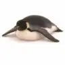 pengDog