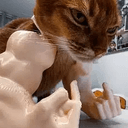MOGCAT