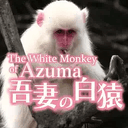 吾妻