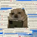 IRS