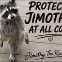 $Raccoon