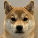 shib