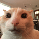 GANYMEDE