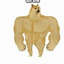 DOGEGROK