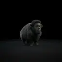 Jimsem