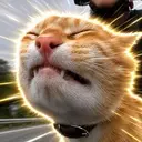 Oyen