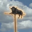 FOMOBULL