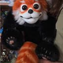 RacoonFa