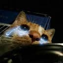 SADCAT