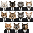 CEO