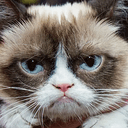 GrumpyCat