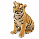 CASHTIGER