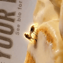 Bugshots
