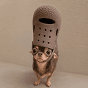 croc