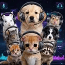 SQUADS
