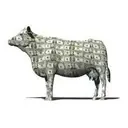 CASHCOW