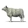 CASHCOW
