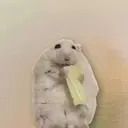 OTTER