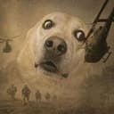 PTSD