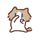 月薪喵