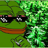 DANKPEPE