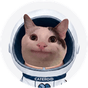 CATEROID