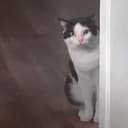 Ma-AH