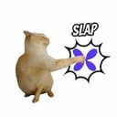 SLAP