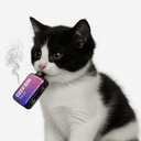VapeCat