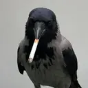 cig