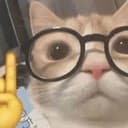 Kitty
