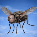 ELON