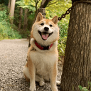 子供