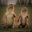 CROCODILES