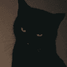 DARKCAT