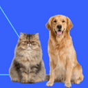 PETS