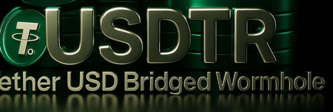 Tether USD Bridged Wormhole Banner