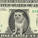 CATDOLLAR