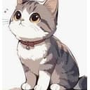 TESTCAT