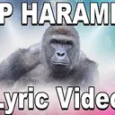 HARAMBE